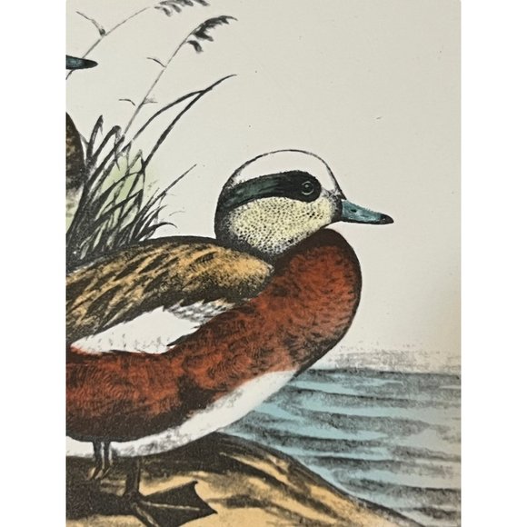 Vintage Delano Studios Tile Trivet 6" Ducks Wood Mallard Marsh Corked Can be hun - Picture 3 of 7